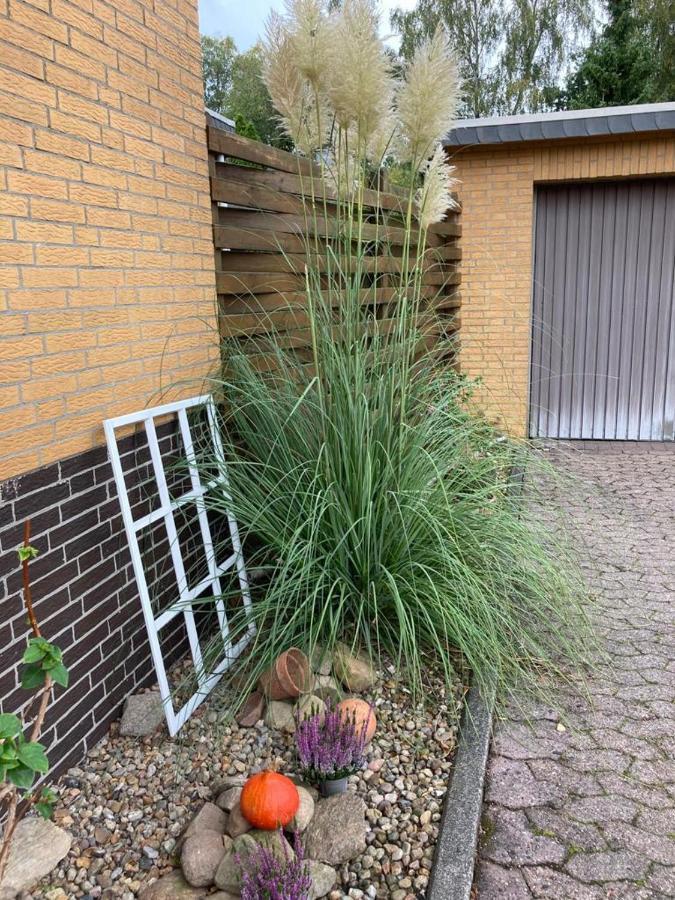 Ferienwohnung Schultze Munster im Heidekreis Eksteriør bilde